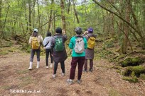 樹海モーニングツアー