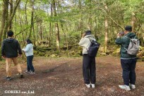 樹海モーニングツアー