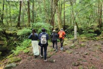 樹海モーニングツアー