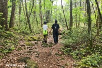 星のや富士様　樹海溶岩ハイキング