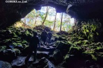 樹海モーニングツアー