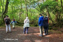 樹海モーニングツアー