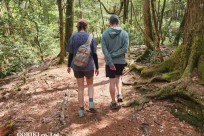 星のや富士様　樹海溶岩ハイキング
