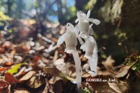 樹海モーニングツアー