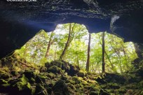 樹海モーニングツアー