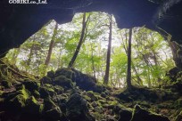 樹海モーニングツアー