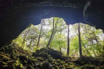 星のや富士様　樹海溶岩ハイキング