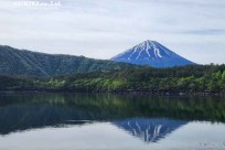 樹海モーニングツアー