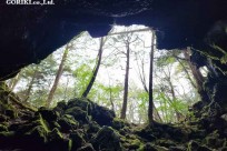 樹海モーニングツアー