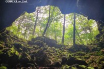 星のや富士様　樹海溶岩ハイキング