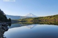 樹海モーニングツアー