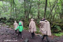 樹海モーニングツアー