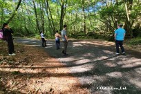 樹海モーニングツアー