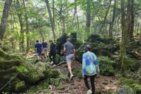 樹海モーニングツアー