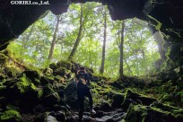 樹海モーニングツアー