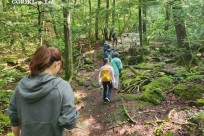 樹海モーニングツアー