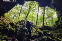 樹海モーニングツアー