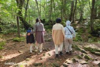 樹海モーニングツアー