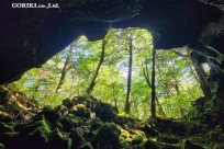 樹海モーニングツアー