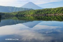 樹海モーニングツアー