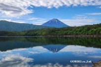 樹海モーニングツアー