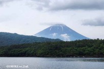 樹海モーニングツアー