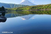 樹海モーニングツアー