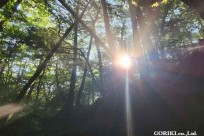 ㈱星野リゾート星のや富士様スタッフ研修