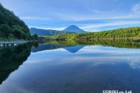 樹海モーニングツアー