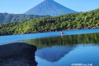 樹海モーニングツアー