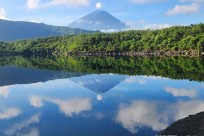 樹海モーニングツアー