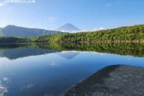 樹海モーニングツアー