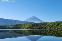 樹海モーニングツアー