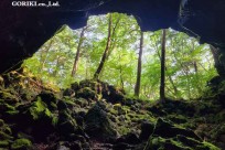 樹海モーニングツアー