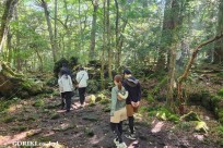 樹海モーニングツアー