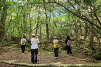 樹海モーニングツアー