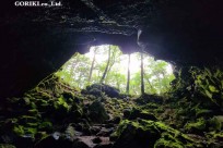 樹海モーニングツアー