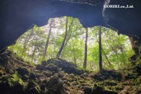 星のや富士様　樹海溶岩ハイキング