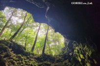 樹海モーニングツアー