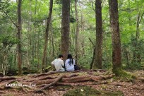 星のや富士様 樹海溶岩ハイキング