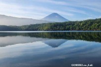 樹海モーニングツアー