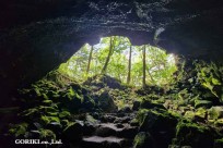 星のや富士様　樹海溶岩ハイキング