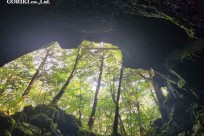 樹海モーニングツアー
