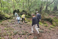 樹海モーニングツアー
