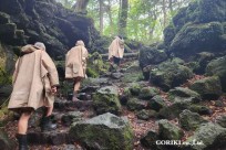 樹海モーニングツアー