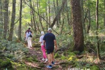 樹海モーニングツアー