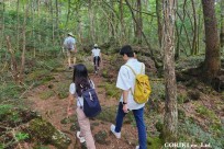 樹海モーニングツアー