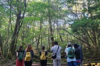 樹海モーニングツアー