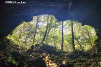 星のや富士様　樹海溶岩ハイキング