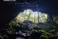 樹海モーニングツアー